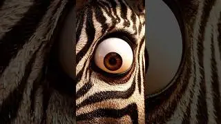 ОБЯЗАТЕЛЬНО ПОСМОТРИТЕ! Зебра запустила ловушку &mdash; ВЗРЫВ! #zebra #viralshorts