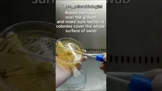 How to use sterile transport swab | Specimen collection swab how to use #microbiology #micro