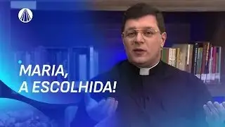 A Assun&ccedil;&atilde;o de Maria e sua coopera&ccedil;&atilde;o participativa na obra de Cristo | Escola de Maria