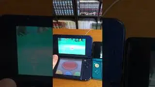 SHINY SCATTERBUG IN POK&Eacute;MON X/Y!!! 300 ENCOUNTERS!!!