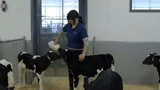 Measuring Colostrum Quality