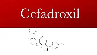 Cefadroxil | cefadroxil antibiotic | cefadroxil uses against bacterial infections