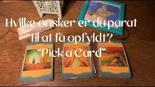 Hvilke ønsker er du parat til at få opfyldt?