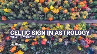Celtic sign in Astrology: discover yours