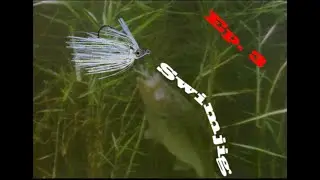 5 Fish limit challenge (Swimjig Day 3)