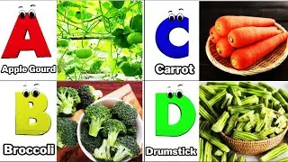 ABC Vegetables song | Alphabet Song for Kids | Fun Learning Video | Koko Study Class 2026