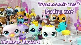 Minişler Prenses Okulu 3. Bölüm💍🌸|| LPSEM miniş videoları