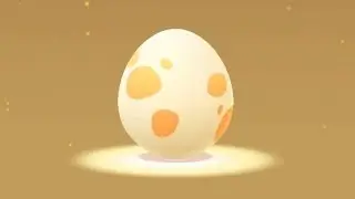 5 x 5km Eggs Hatching! Trying to Hatch Baby Pok&eacute;mon!