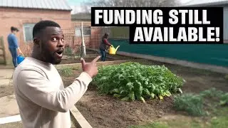 How to Get a $1,000 Community Garden Grant in 2025!