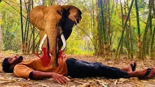Elephants Attack In Jungle | Elephants Attack