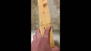 English Yew Bow Stave G | 84