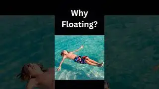 Why Floating? Salt Water | Archimedes Experiment #physics #education #science #floating