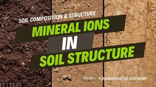 FUNDAMENTALS: Soil Composition & Structure - Mineral Ions