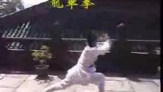 Wudang Kung Fu  龙华拳 Wudang Dragon Quan