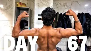 Back biceps and oblique workouts 