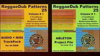 SHR ReggaeDub Patterns 25 - TrackPacks for all DAW