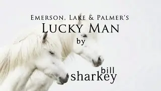 Lucky Man - Emerson, Lake & Palmer (ELP) (cover-live by Bill Sharkey)