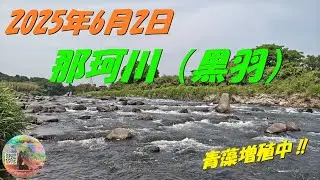 2025年6月2日　那珂川（黒羽）
