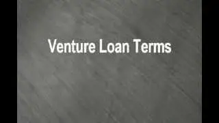 Venture Loan Terms