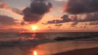 1 HR ALPHA DELTA BRAINWAVE OCEAN WAVE SOUNDS | For Sleep, Studying, Relaxation, Meditation