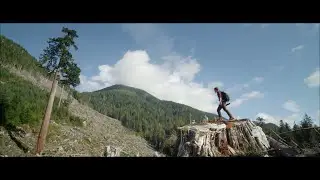 Ancient Forest Alliance Documentary (2015)