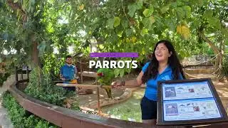 Autumn in Mallorca - (Part 7) - Marineland Extended Edition #travel #marineland #mallorca #spain