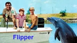 Flipper Theme Song Intro