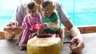 Wow Mom Make Agar Mix Fruits Jelly In Coconut, Dodo Mori Like It So Much