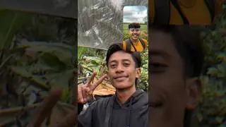 Tipis-tipis dulu!! EXBEN X KOO KIKO #exben #kookiko