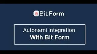 Autonami Integration With WordPress Form - Bit Form