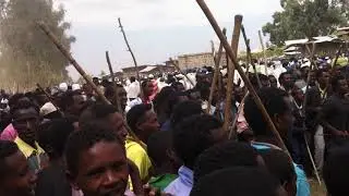 QEERROO SALAALEE-TULLUU MILKII