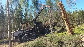 Logset 6f Mäntyaukolla