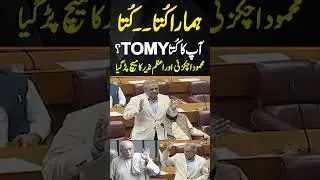 ہمارا کتا ۔۔ کتا؟ آپ کا کتا ٹومی؟؟ #azamnazeertarar #mehmoodachakzai #nationalassembly