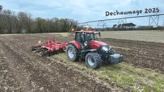 Déchaumage 2025 avec Case IH Puma 240