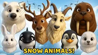 Animals of the Arctic ❄️ | Fun Learning Song for Children