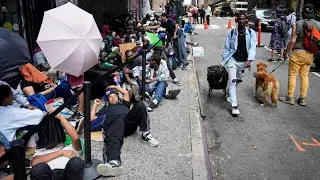 &lsquo;Bleeding hearts&rsquo; of the Democrats confronted with the reality of open borders