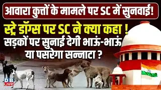 Stray Dogs पर Supreme Court ने क्या कहा! सड़कों पर सुनाई देगी भाऊं-भाऊं या पसरेगा सन्नाटा ?#dblive