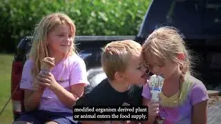Are GMOs Safe to Eat?