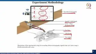 Lec 43 Flexible MEA for Electrocorticography Signal Acquisition