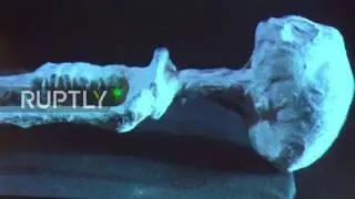 Peru  Researcher excites UFO enthusiasts with images of 'unearthed alien mummies'