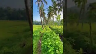 Hayath nature  resorts kurnool videos