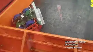 ROBONEO 2018