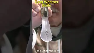Cold Weather, Hot Baits  Short #bassfishing #winterbassfishing #bassresource #fishingtips #basslures