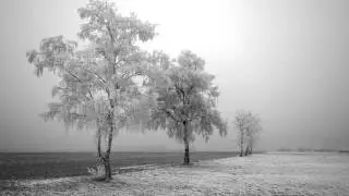 The snow is black