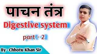 Digestive system | पाचन तंत्र | Part - 2।                     Chhotu Khan Sir | Akbarpur 