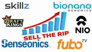 Sell the Rip! I Stock Market Crash l Nio l BNGO l Skillz l Fubo
