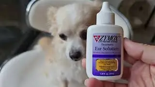 ЧЕСТНЫЙ обзор ферментного раствора для ушей ZYMOX для собак