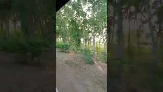 Geu 40 9044 with Millat Express Running Fast Along With Gojra Toba Road