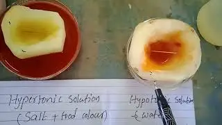 Osmosis in Hypotonic and Hypertonic solution#Happy learning