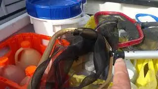 The Pool Nets I Use- Purity Products